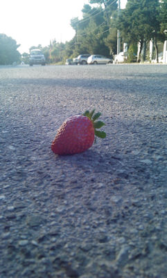 Η φράουλα στη μέση του δρόμου